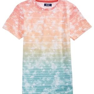 🚚 moving sale 5/$5 Boys Bondi Ombré Graphic tee